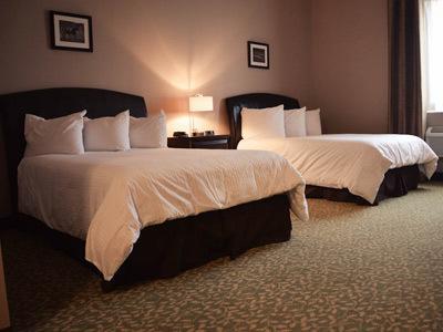 Belvedere Inn Schenectady - Albany Cameră foto