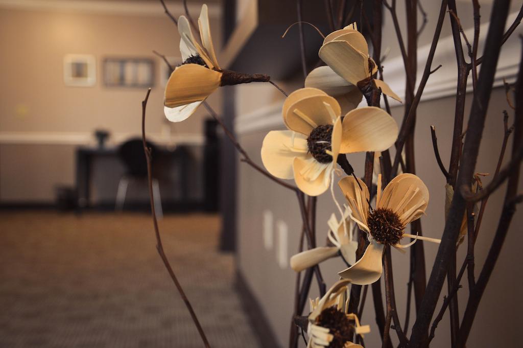 Belvedere Inn Schenectady - Albany Cameră foto
